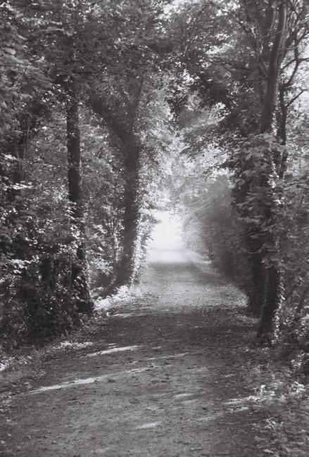chemin et lumière